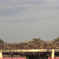 18_50-mast.jpg