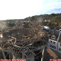 18_55-nest.jpg