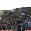 19_25-nest.jpg