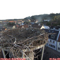 07_00-nest.jpg