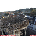 07_05-nest.jpg
