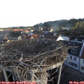07_10-nest.jpg