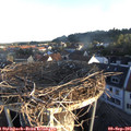 07_15-nest.jpg
