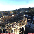 07_20-nest.jpg