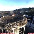 07_25-nest.jpg