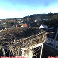 07_30-nest.jpg