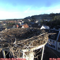 07_35-nest.jpg