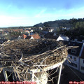 07_40-nest.jpg