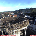 07_45-nest.jpg