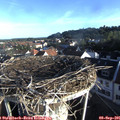 07_50-nest.jpg