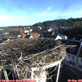 07_55-nest.jpg