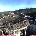 08_05-nest.jpg