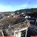 08_15-nest.jpg