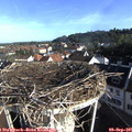 08_20-nest.jpg
