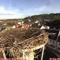 08_30-nest.jpg