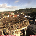 08_35-nest.jpg
