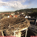 08_40-nest.jpg