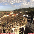 08_45-nest.jpg