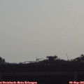 08_50-mast.jpg