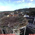 08_50-nest.jpg