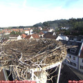 08_55-nest.jpg