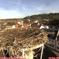09_00-nest.jpg