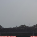 09_05-mast.jpg
