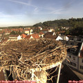 09_05-nest.jpg