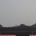 09_10-mast.jpg