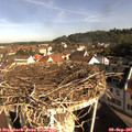 09_10-nest.jpg