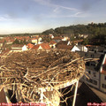 09_20-nest.jpg