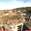 09_25-nest.jpg