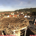 09_30-nest.jpg
