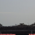 09_35-mast.jpg