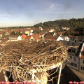 09_35-nest.jpg