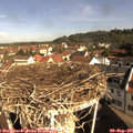 09_40-nest.jpg