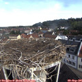 09_45-nest.jpg