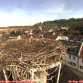09_55-nest.jpg