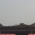 10_00-mast.jpg