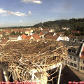 10_00-nest.jpg