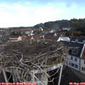 10_05-nest.jpg