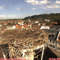 10_10-nest.jpg