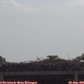 10_15-mast.jpg