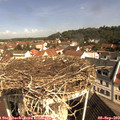 10_20-nest.jpg