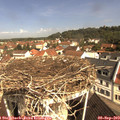 10_25-nest.jpg