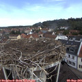 10_30-nest.jpg