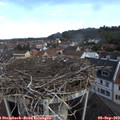 10_35-nest.jpg