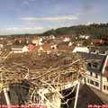 10_40-nest.jpg