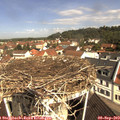 10_45-nest.jpg