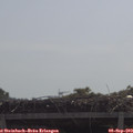 10_50-mast.jpg